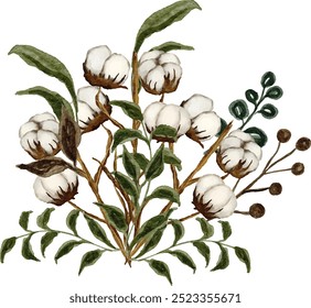 Watercolor Cotton Flower. Set of dry cotton items. Watercolor botanical set on isolated background. The pattern is suitable for interior, poster, card, wedding design, flower arrangement