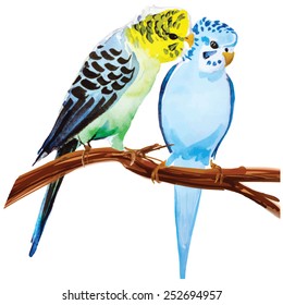 Watercolor couple parrots green and blue