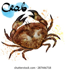 Watercolor crab 