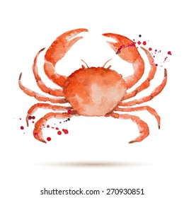 Watercolor Crab. Fresh Organic Seafood. Vector Illustration.