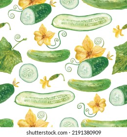 Acuarela Patrón Cucumber en blanco. Ilustración del vector