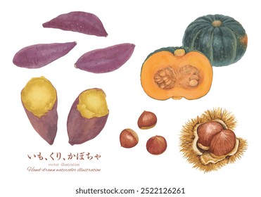 Aquarela cortada conjunto de material de ilustração de batatas doces, castanhas e abóboras