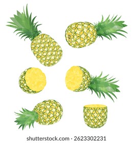 Watercolor Cut Pineapple Illustration Set