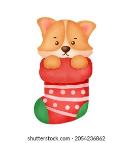  Watercolor Cute Cartoon corgi dog with sock for Christmas card.