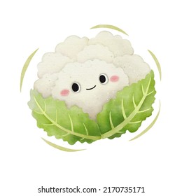 Watercolor cute cauliflower cartoon character. Vector illustration.