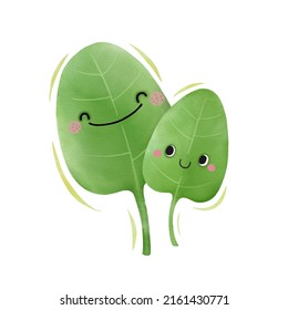 Watercolor cute spinach leaves cartoon character. Vector illustration.