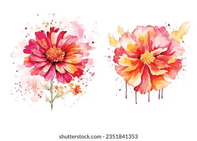 Watercolor dahlia flowers Stock Vector
