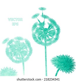 watercolor dandelion background