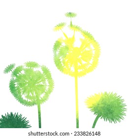 watercolor dandelion background