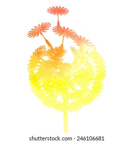 watercolor dandelion background