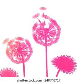 watercolor dandelion background