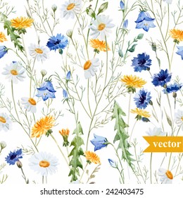 watercolor, dandelion, cornflower, delicate flower pattern