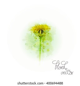 Watercolor dandelion design