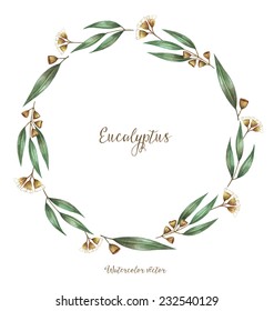 Watercolor, decorative elements, round frame of eucalyptus. Vector illustration. 	 Place for your text.