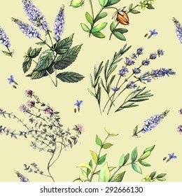 Watercolor decorative seamless with medicinal plants. Handmade watercolor. The real medicinal plants. Seamless for fabric design, gift wrapping paper and printing and web projects