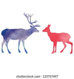 Watercolor deer.