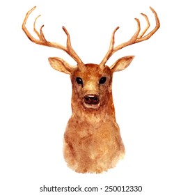 Watercolor deer 