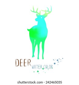 Watercolor deer drawing - Vector