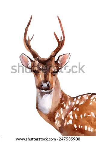 Watercolor deer head - front view. Vector illustration