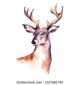 Watercolor Deer Over White Background, Vector Cartoon Animals Illustration Art For Wallpaper