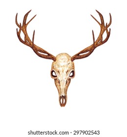 Watercolor Deer Skull, isolated on white background. Vector Element for your design. Hand drawn illustration.