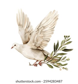 Watercolor Depiction of a Single White Dove Carrying an Olive Branch – Symbolizing Peace, Isolated on White Background