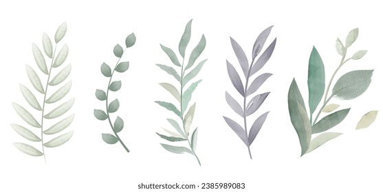 watercolor design elements leaves flowers