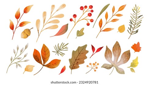 Watercolor different autumn leaves, berries and branches isolated on white background. Vector elements for fall season decor