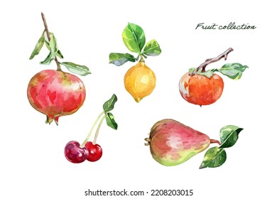 Colección de elementos de fruta de color de agua