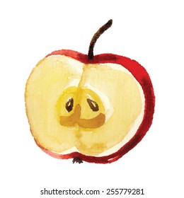 Watercolor dissected red apple