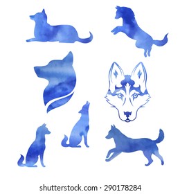 Watercolor dog husky icons and silhouettes. Set of illustrations in different poses.