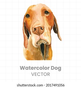 Watercolor dog on a white background