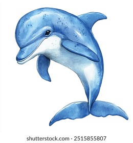 watercolor of dolphin clipart illustration isolated