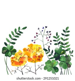 Watercolor doodle with flowers and herbs.Hand drawn leaves and brush flowers with colorful green bushes. - stock vector
