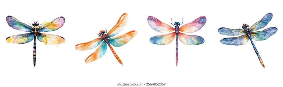 Watercolor dragonfly set png. Realistic watercolor dragonfly on transparent background. Watercolor insects. Nature and botany concept. Vector illustration.