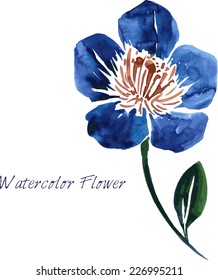 watercolor drawing blue flower, hand drawn vector background