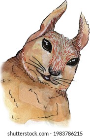 Watercolor drawing cute smiling squirrel translated into vector on a transparent background.