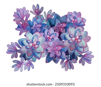 Aquarela desenho planta exótica Succulento Echeveria flores tropicais arco-íris cor botânica ilustração desenho clipart design cartão de casamento papel de parede convite florescendo flor buquê vetor 
