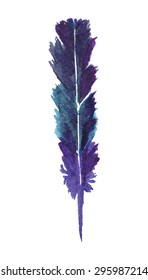 Watercolor drawing feathers