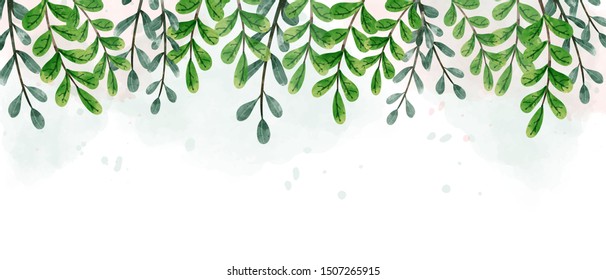 7,178 Watercolor ivy Images, Stock Photos & Vectors | Shutterstock