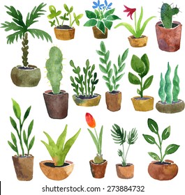 plantas domésticas de dibujo de acuarela, ilustración vectorial hecha a mano