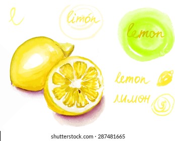 Watercolor drawing of a lemon and a half with the word 'lemon' written in English, Spanish and Russian and watercolor design elements, scalable vector graphic