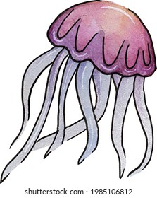 Watercolor drawing of pink jellyfish translated into vector on transparent background.