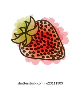 watercolor drawing of strawberry fruit vector illustration