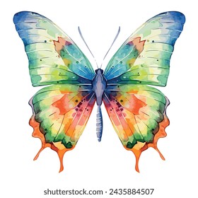 Watercolor Drawing Vector of a colorful butterfly, isolated on a white background, clipart Illustration, Graphic Painting.