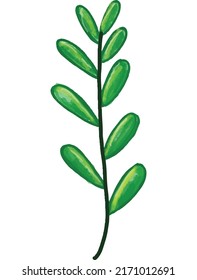 watercolor drawing wild plants isolated on white background