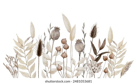 Watercolor Dry Floral Background with poppy pods, bunny tail grass, and dried leaves, Dried flowers background