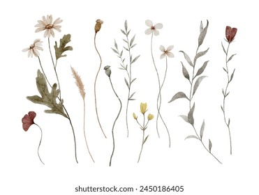 Watercolor Dry Pressed Flowers Collection	