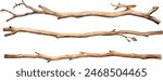 Watercolor dry tree branches set closeup isolated on white background. Hand painting on paper	