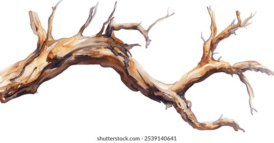 Watercolor Dry Tree Branches Set Closeup Isolated on White Background. Hand Painting on Paper